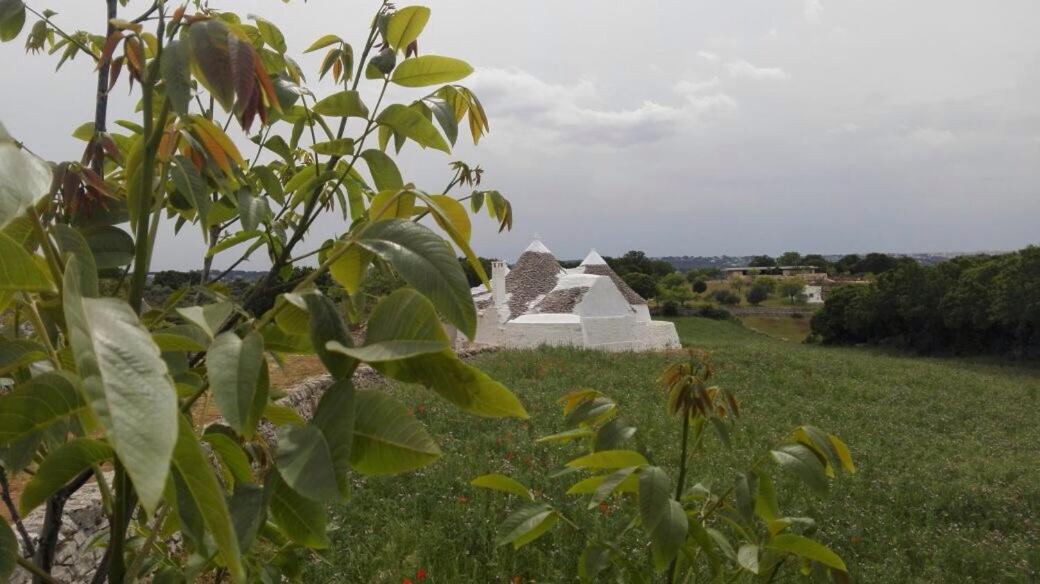 Bed and Breakfast Borgo Trulli 1789 Ostuni Zewnętrze zdjęcie