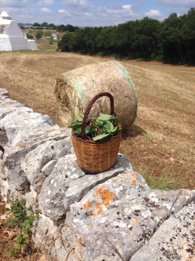 Bed and Breakfast Borgo Trulli 1789 Ostuni Zewnętrze zdjęcie